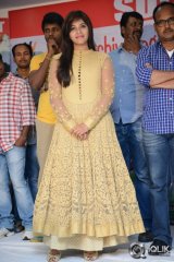 Geethanjali Movie Success Meet
